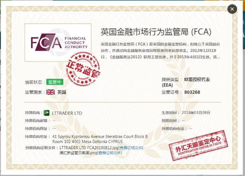 做外汇选择哪些平台