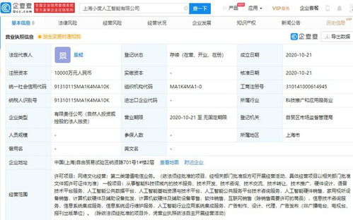 在上海成立人工智能新公司,注册资本 1 亿人民币