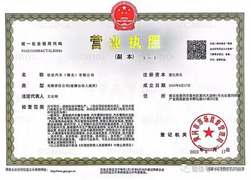 贾跃亭旗下ff注册湖北公司 或为中国总部落地黄冈准备