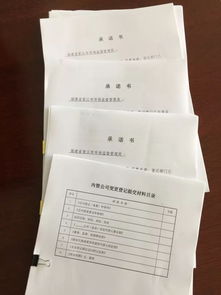 动态 一站式服务 金井市管所设立内资企业办理窗口