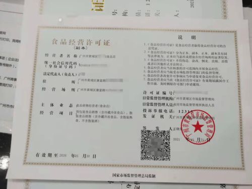 广州越秀区餐饮公司注册及分公司注册指南 15天高效获取营业执照与食品经营许可证