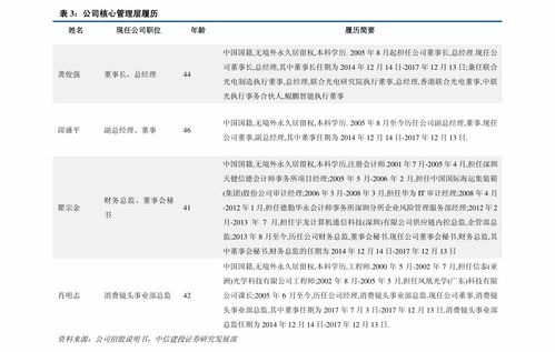 电力信息安全国产化先锋 纬德信息新股深度解析