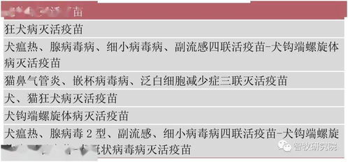 近十年进口兽药注册主要产品与跨国企业概况及个体户注册要点解析